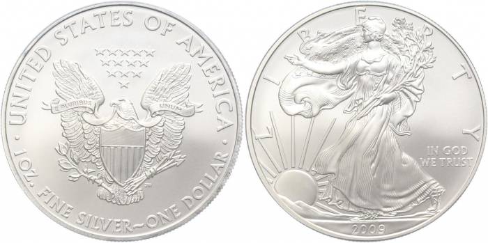 1 Oz American Eagle (Silber) div. - diff.